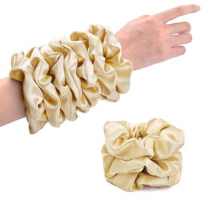 CEELGON Champagne Silk Scrunchies for Women Satin Scrunchy Silk Hair Ties Elastic Thick Hair Scrunchie 10 Pack (Champagne)